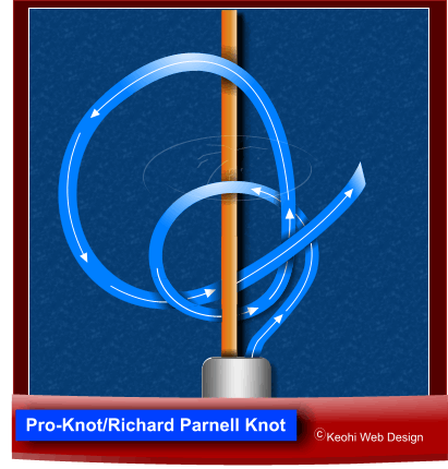 Pro Knot / Richard Parnell Knot / Half Hitch Knot with a Tail